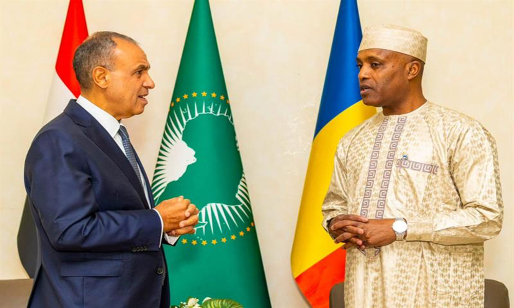Égypte-Tchad : focus santé, infrastructures et enseignement
