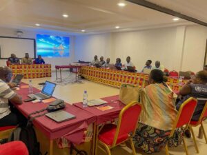 Togo : les données numériques au cœur de la lutte contre le paludisme