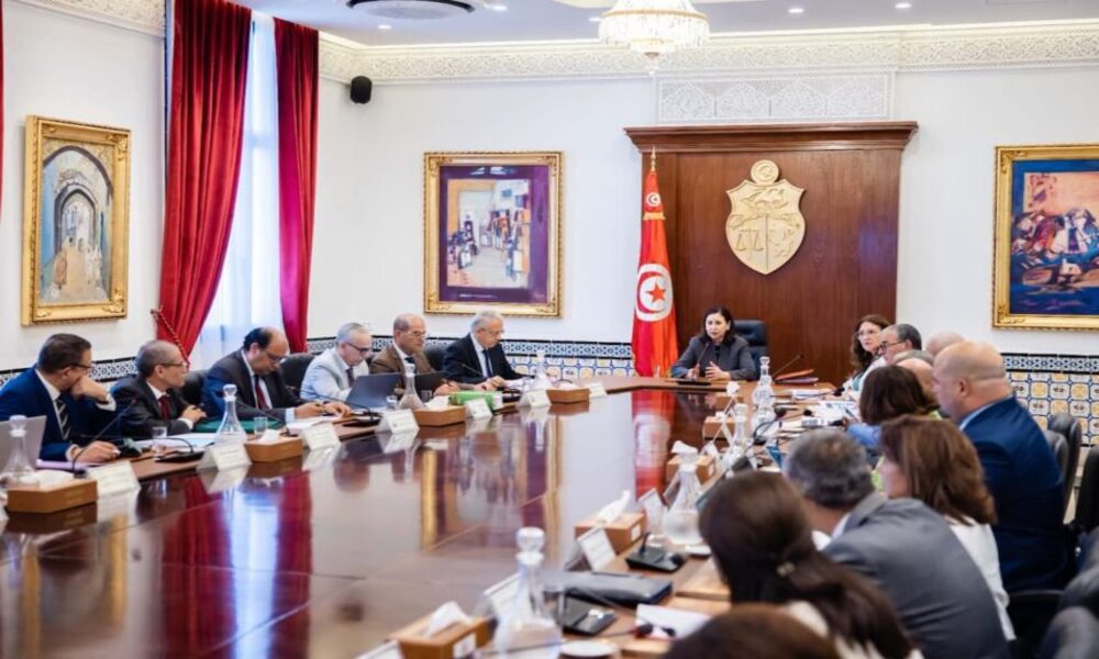 Tunisie : un plan de développement à l’épreuve du financement