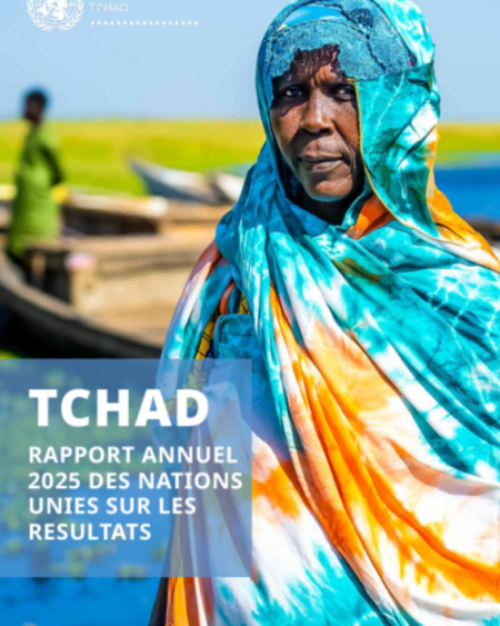 Tchad : emplois, santé, agriculture, l’ONU dresse un bilan positif