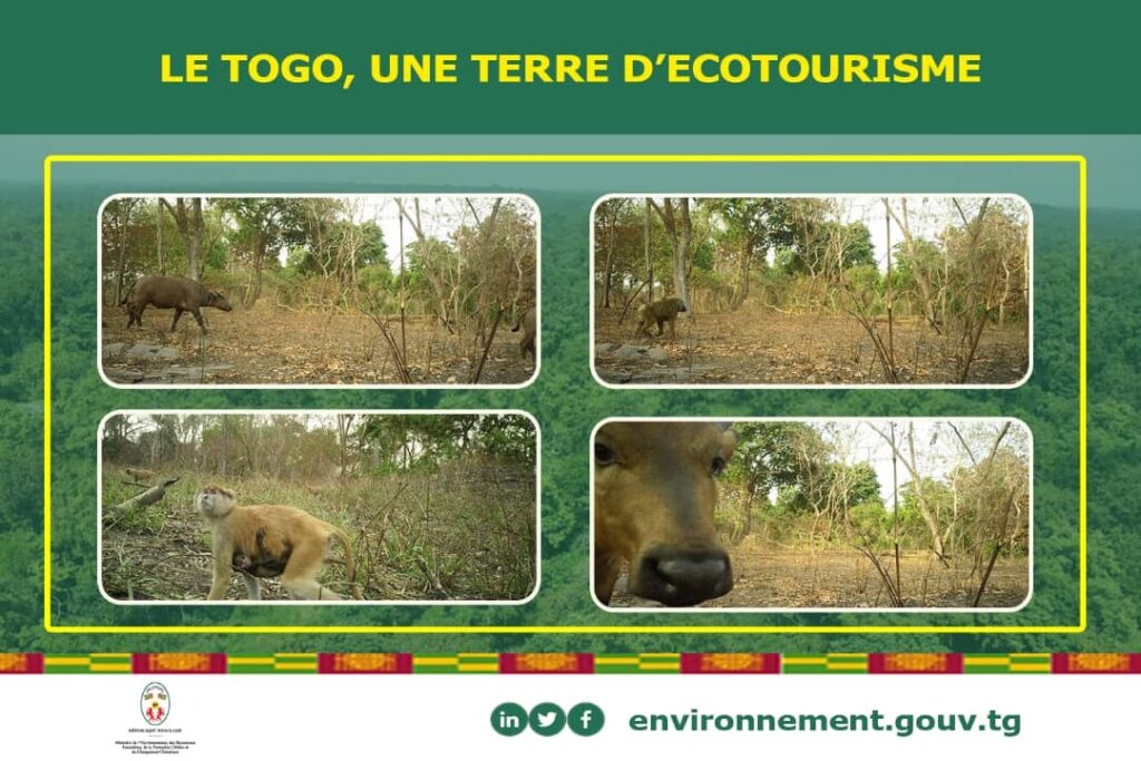 Togo : l’écotourisme au service du développement communautaire
