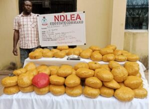 Nigeria : la NDLEA saisit des drogues d’une valeur de 2,56 millions de dollars