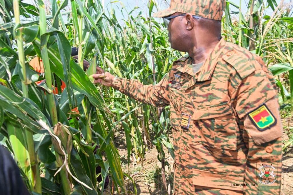 Burkina : le privé appelé à investir dans l’agropastoral