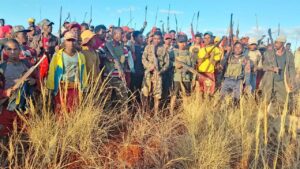 Madagascar : trois « dahalo » tués et 70 zébus récupérés