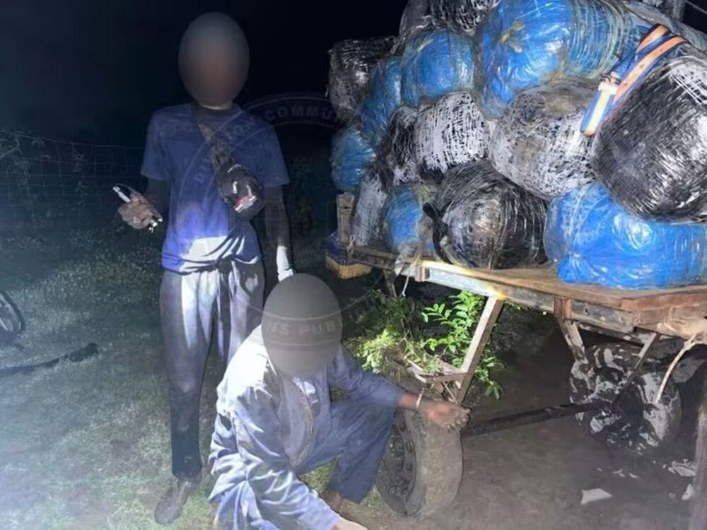 Sénégal : 427 kg de chanvre indien saisis à Mbodiène