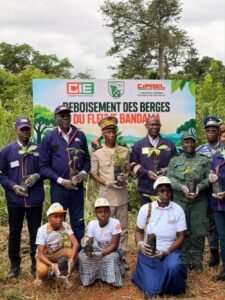 RCI : la CIE et CIPREL reboisent les berges du fleuve Bandama