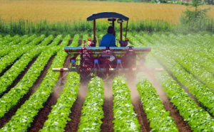 Maputo : 10 % des projets agricoles pour les anciens combattants