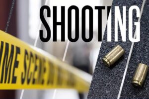 Afrique du Sud : 27 morts dans deux fusillades (police)