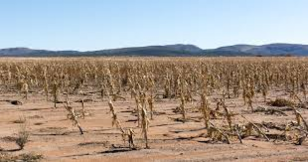Éthiopie : El Niño menace la production agricole