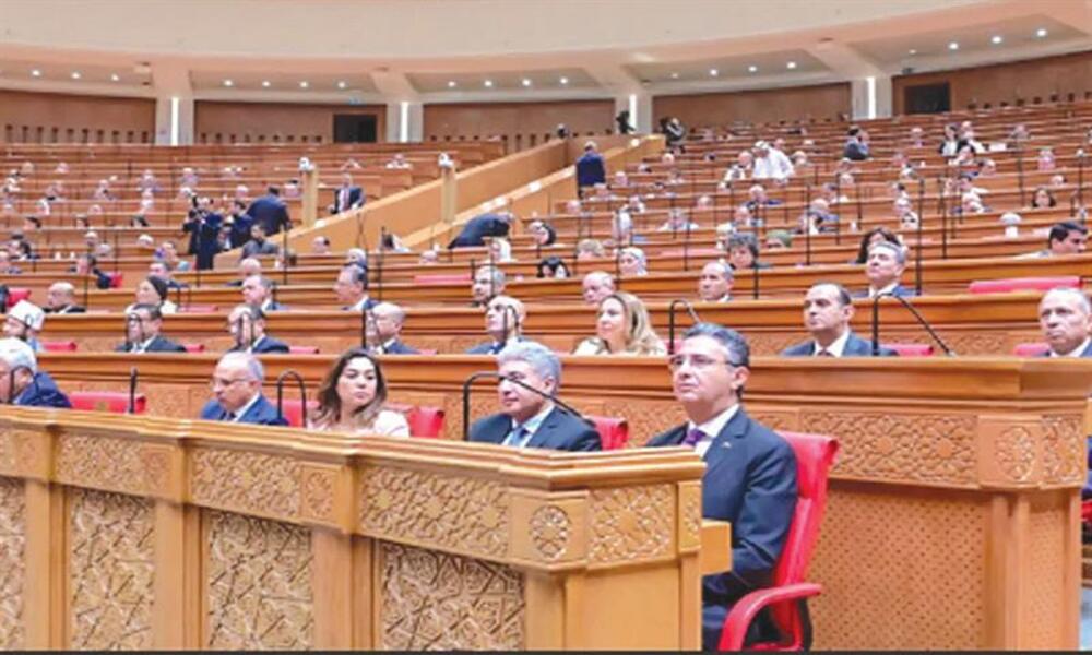 Égypte : agenda parlementaire dominé par les réformes en suspens