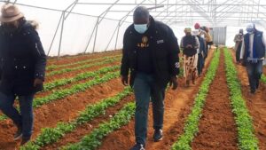 Lesotho : une plateforme agricole pour autonomiser les jeunes