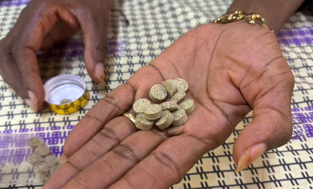 Burkina Faso Researchers Develop Plant-Based Bio-Insecticide