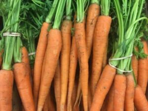Sénégal : les importations de carottes reprennent