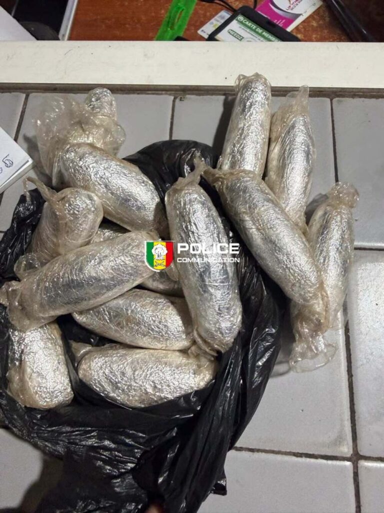 Sénégal : un étudiant interpellé pour trafic présumé de cocaïne à Dakar
