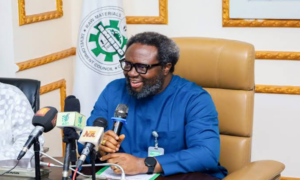 Nigeria : la valorisation à 30 % des matières premières pourrait générer 1,2 million d’emplois