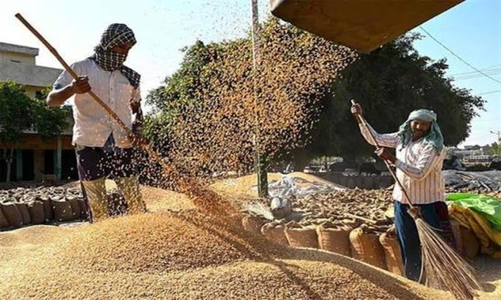 Egypte : mesures d’urgence pour sécuriser les stocks de blé